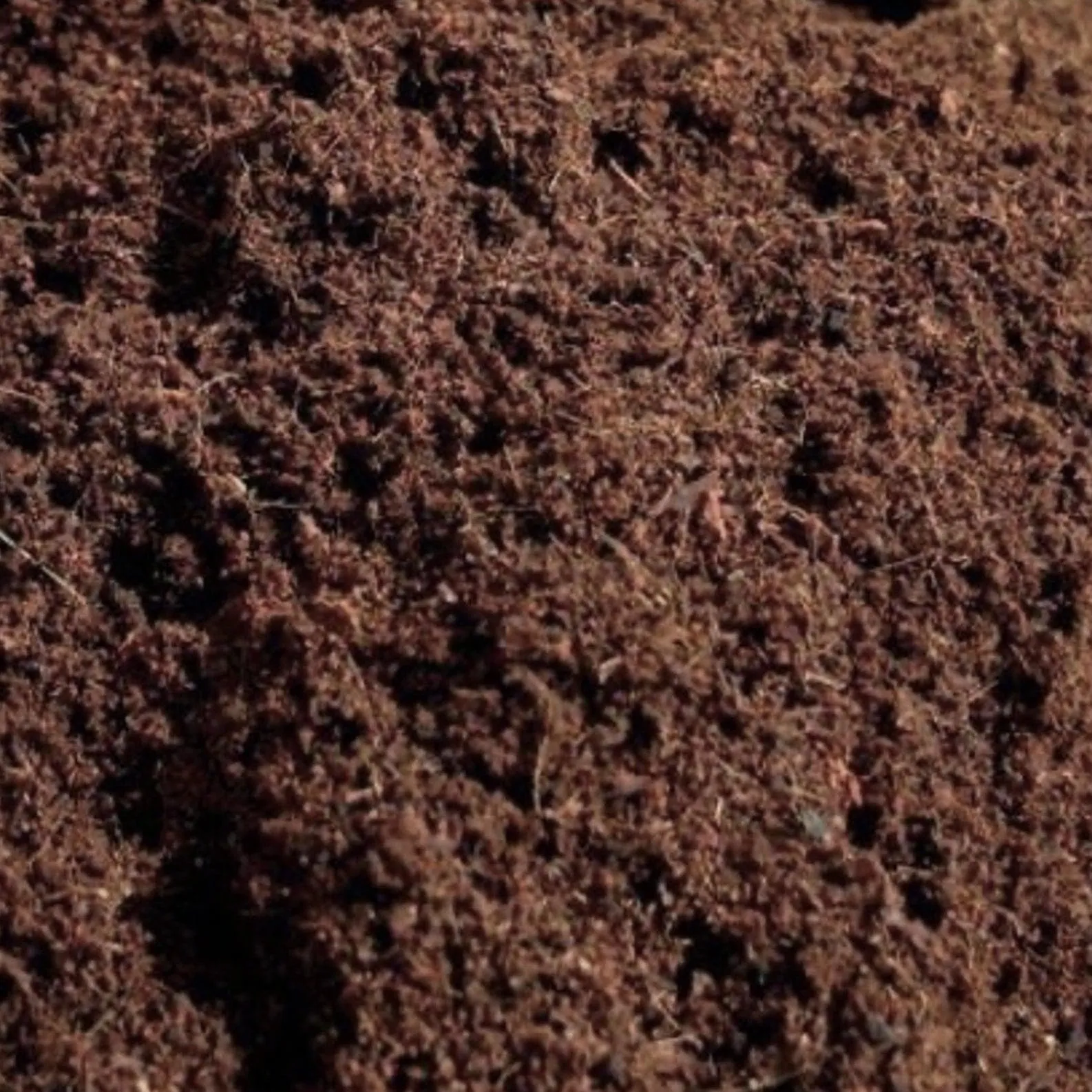 North Spore 'Myco Coco' Loose Coco Coir Substrate & Casing Layer