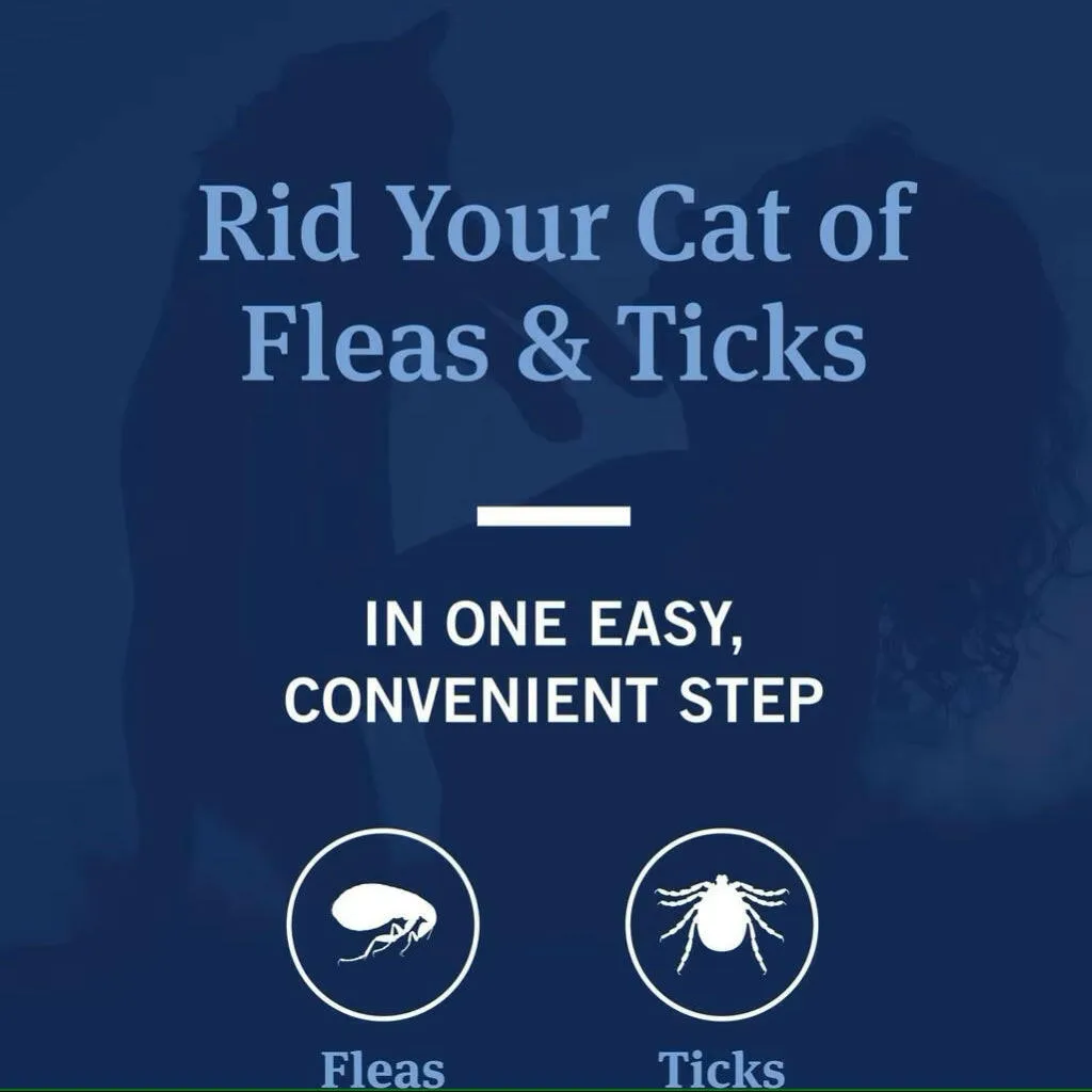 PetArmor Flea & Tick Shampoo for Cats (12 oz)